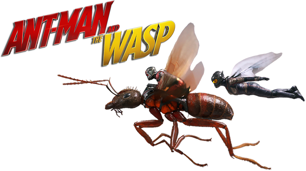 Ant Man_and_ The Wasp_ Promo_ Art PNG with transparent background