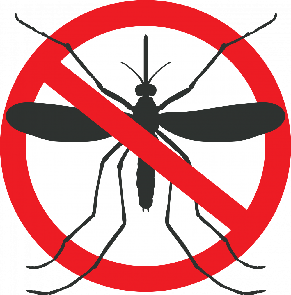 Mosquito Graphic - Mosquito Crossed Out, HD Png Download PNG with transparent background
