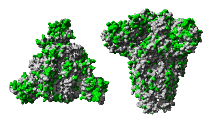 COVID-19 Virus PNG File PNG with transparent background