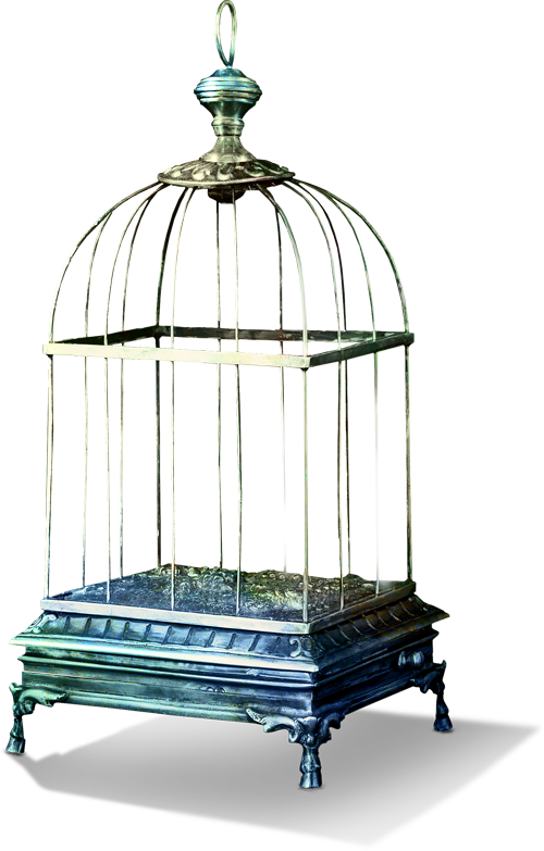 Tubes Bird Cage Png , Png Download - Cage À Oiseaux Png, Transparent Png PNG with transparent background
