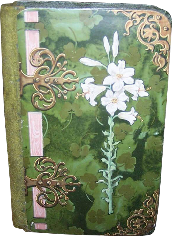 Antique Lily Decorated Book Cover