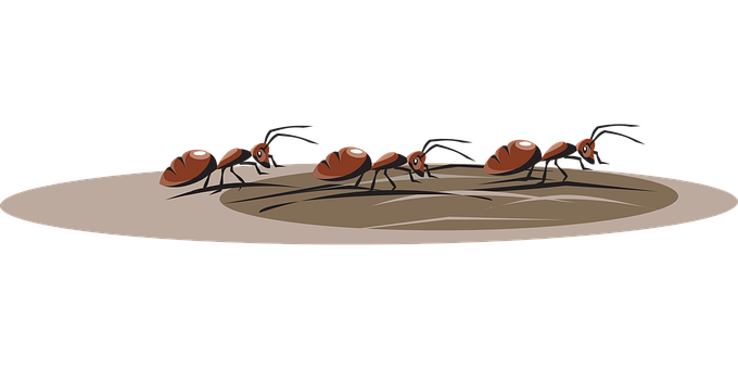 Ants On Ant Hill Illustration