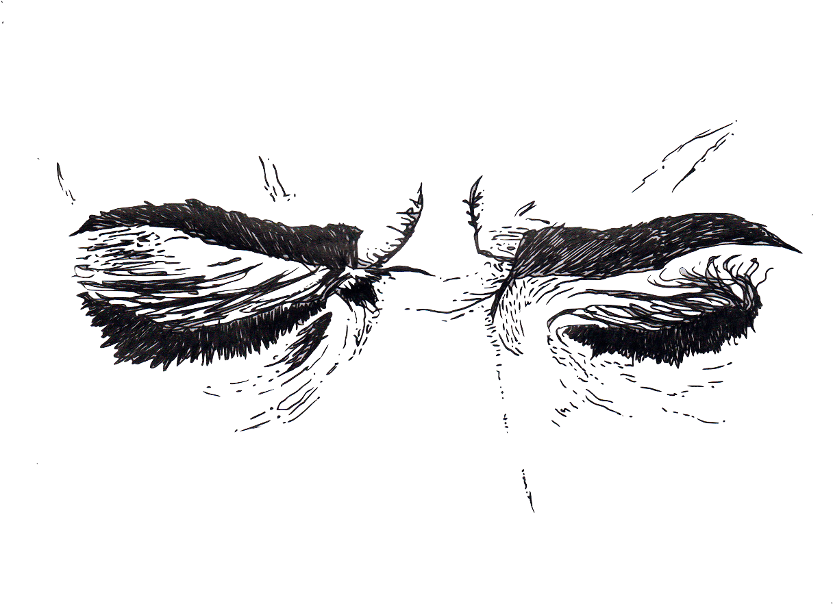 Anxiety Feathered Fracture PNG image with a transparent background, free high-resolution download