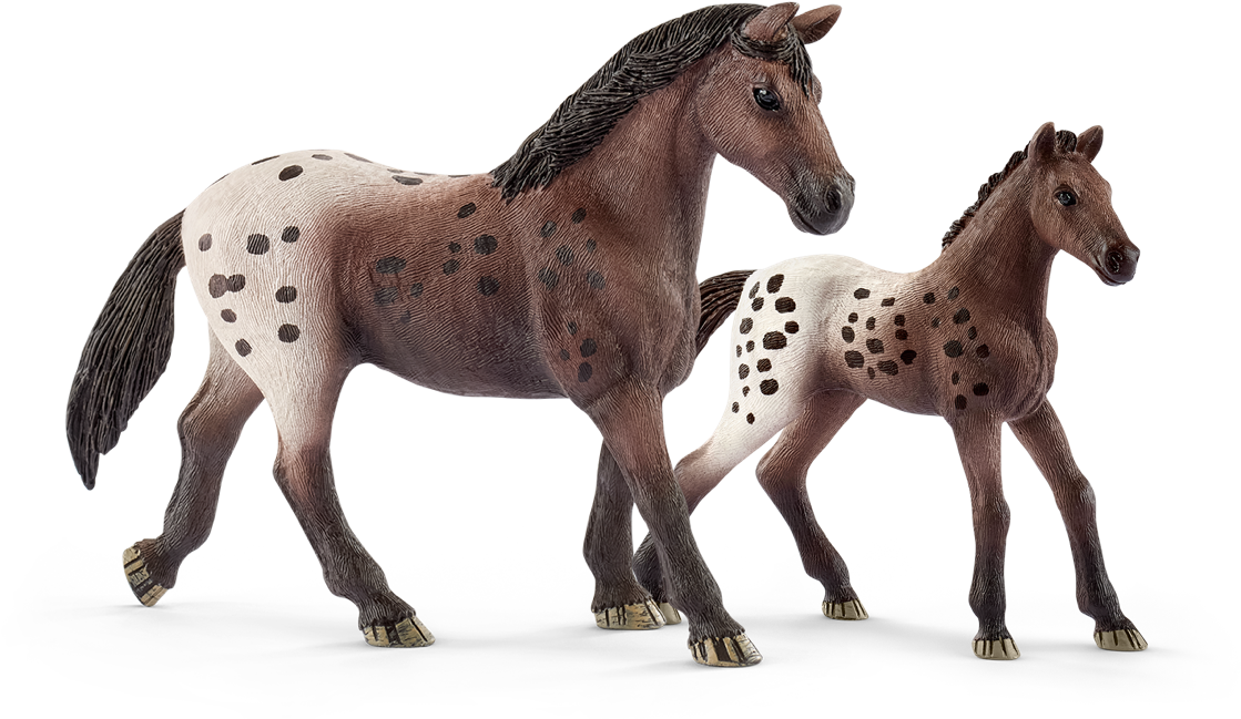 Appaloosa Mareand Foal