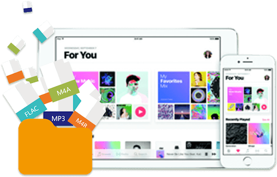 Apple Music File Formats Compatibility