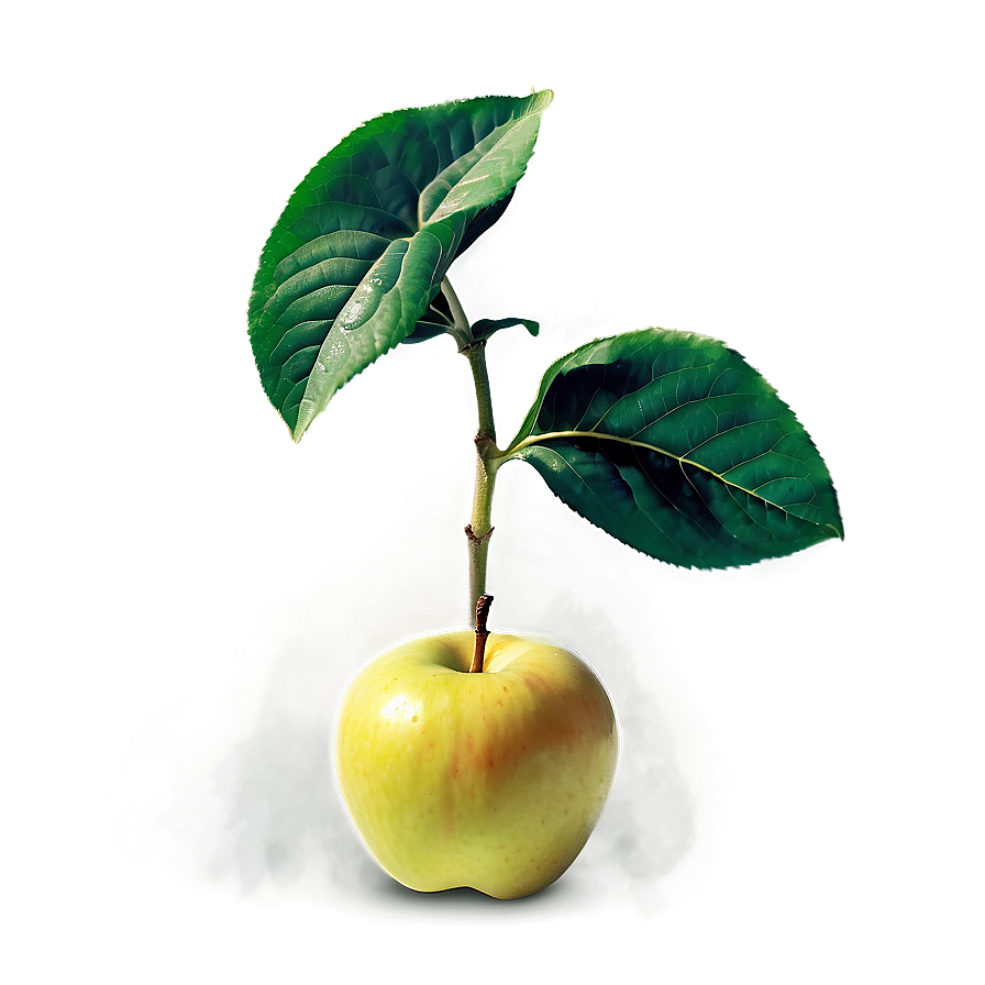 Apple Sprout Png Gns