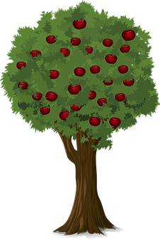 Apple Tree Illustration