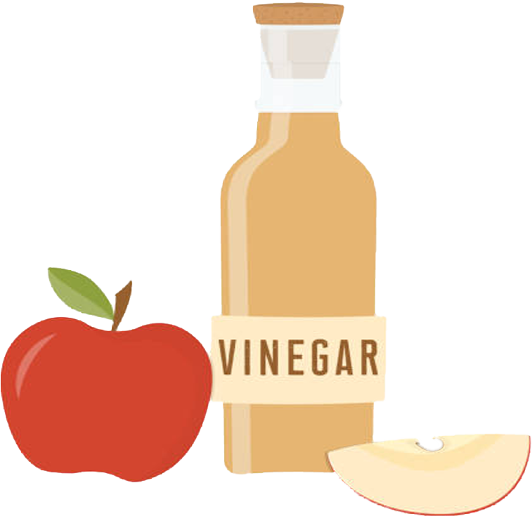 Apple Vinegar Illustration PNG with transparent background