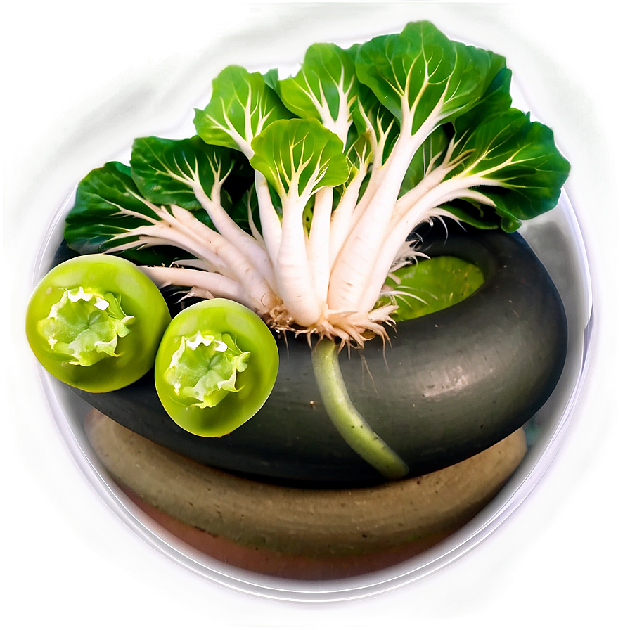 Aquaponic Vegetables Png 96