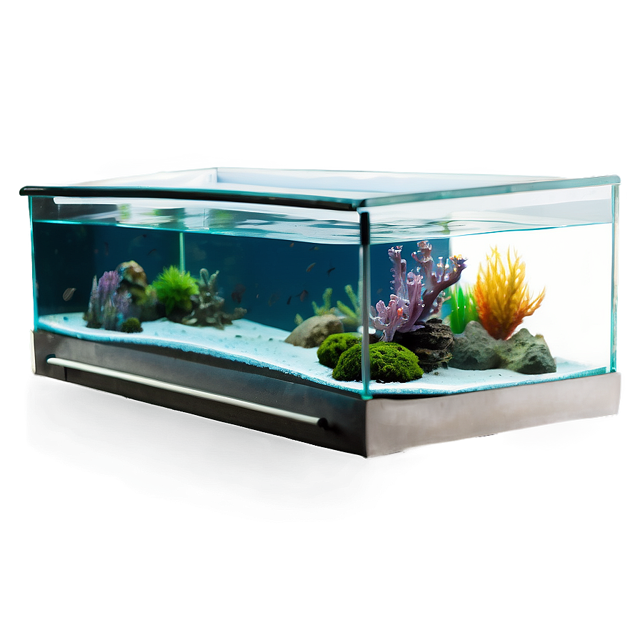 Aquarium Accessories Png 43