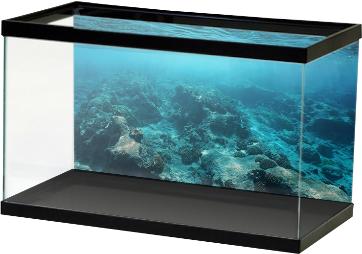 Aquariumvinyl - Aquarium Background Sticker Design, HD Png Download PNG with transparent background