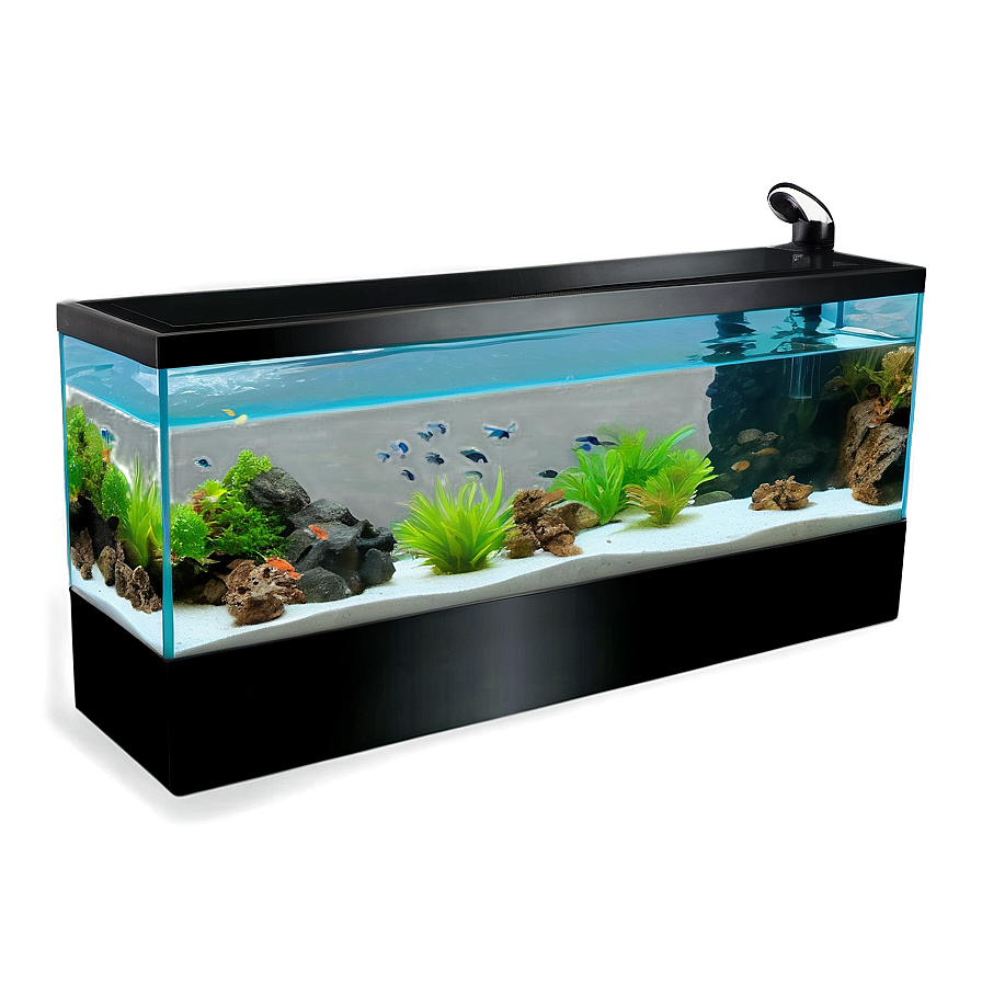 Aquarium Setup Png Onc40