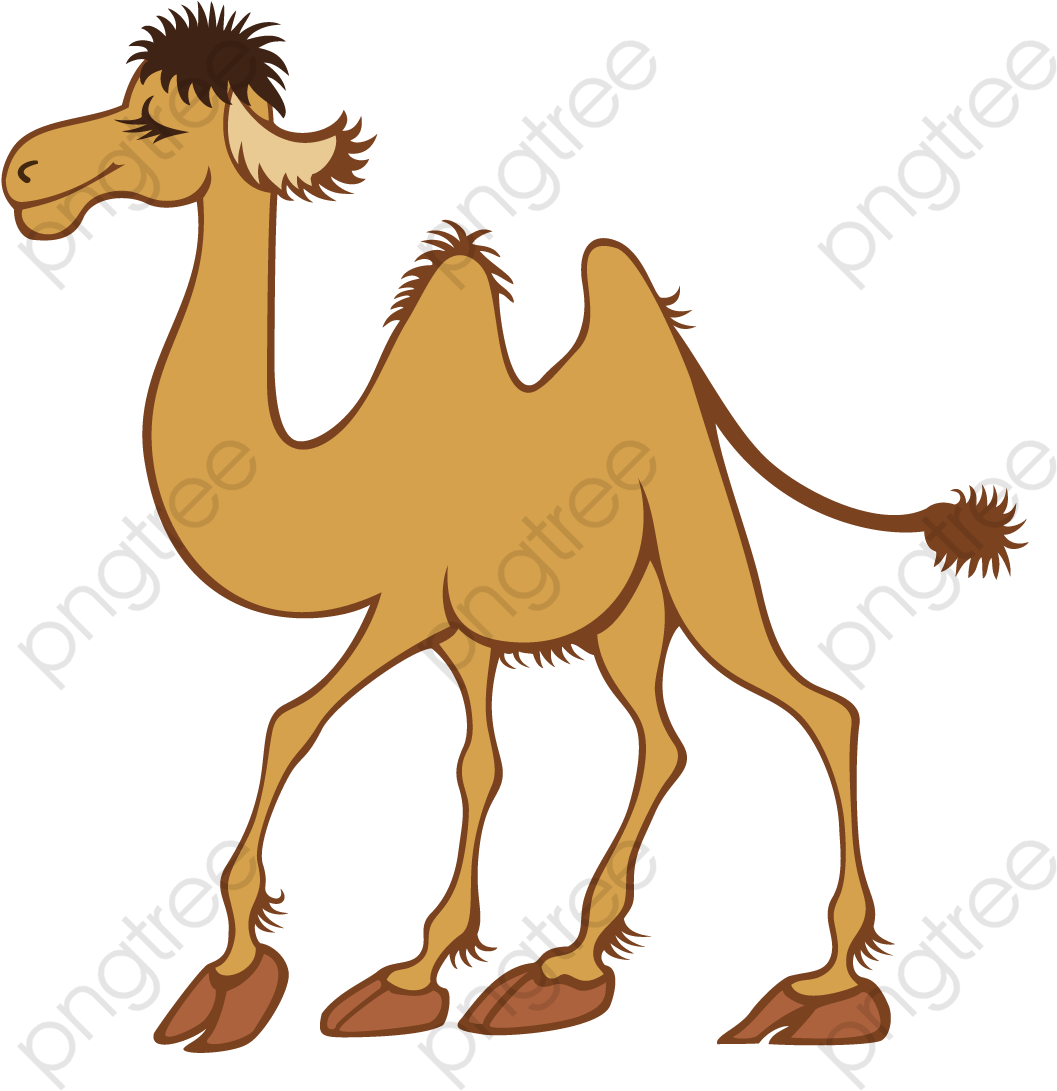 Arabian Camel, HD Png Download PNG with transparent background