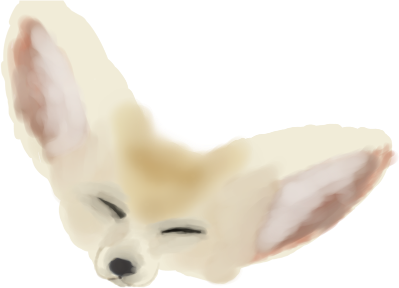 Transparent Fennec Fox Clipart - Arctic Fox, HD Png Download PNG with transparent background
