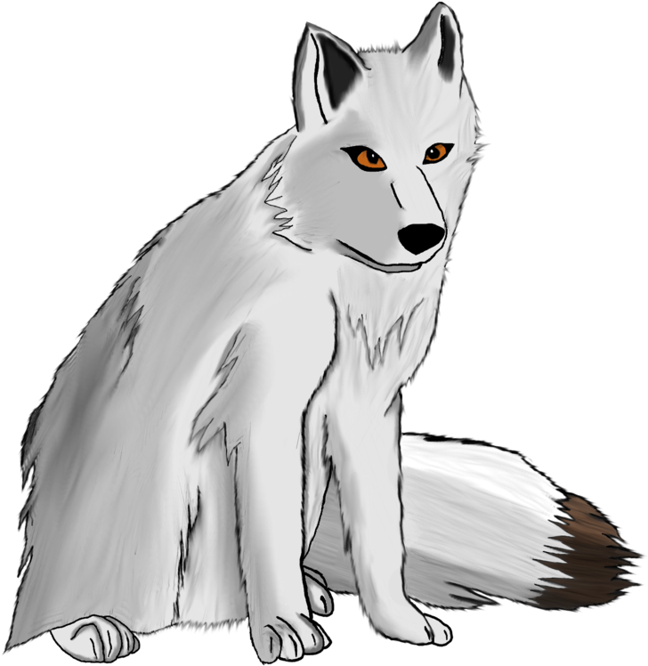 Arctic Fox Illustration