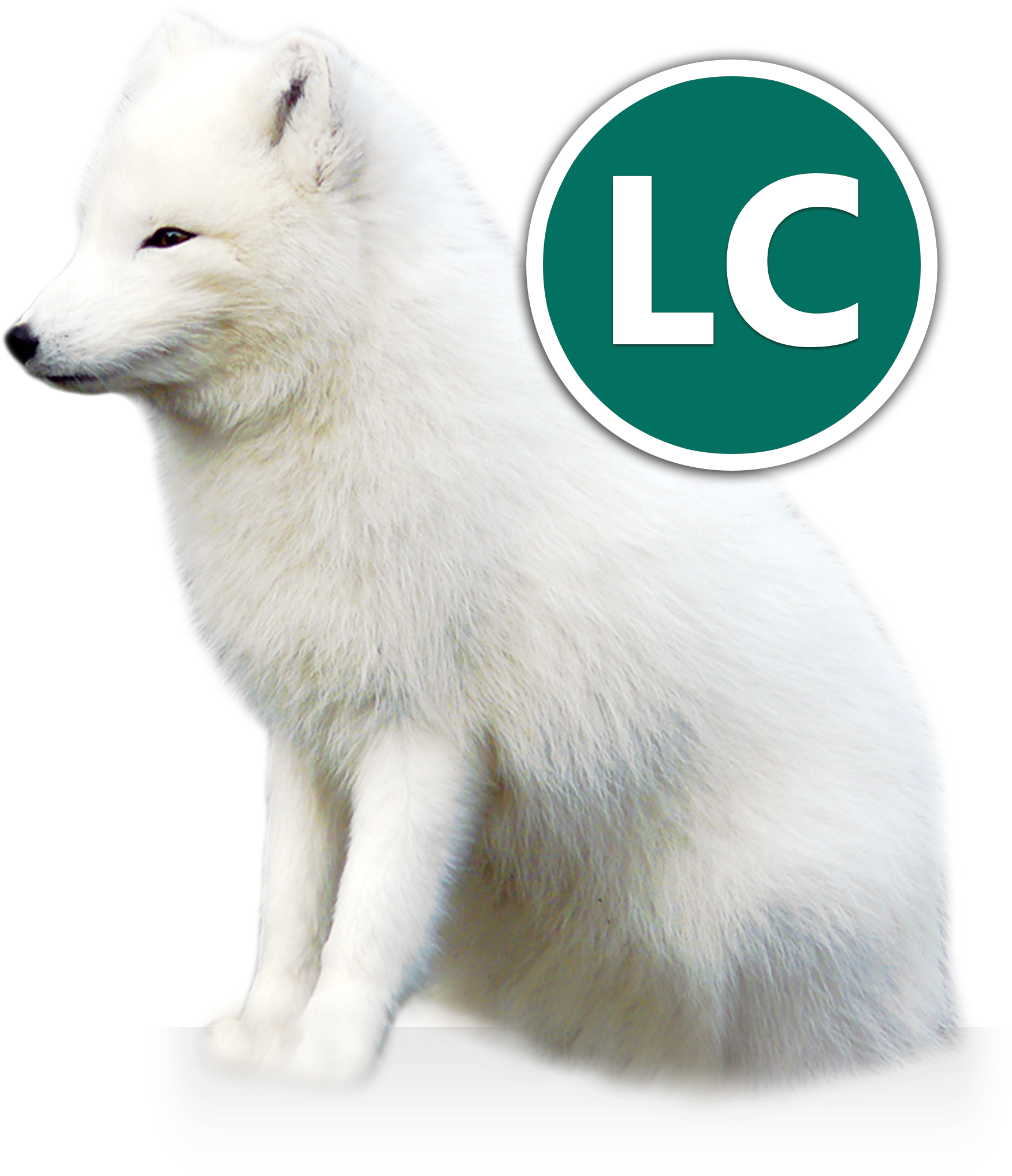 Arctic Fox Icon - Arctic Fox And Owner, HD Png Download PNG with transparent background