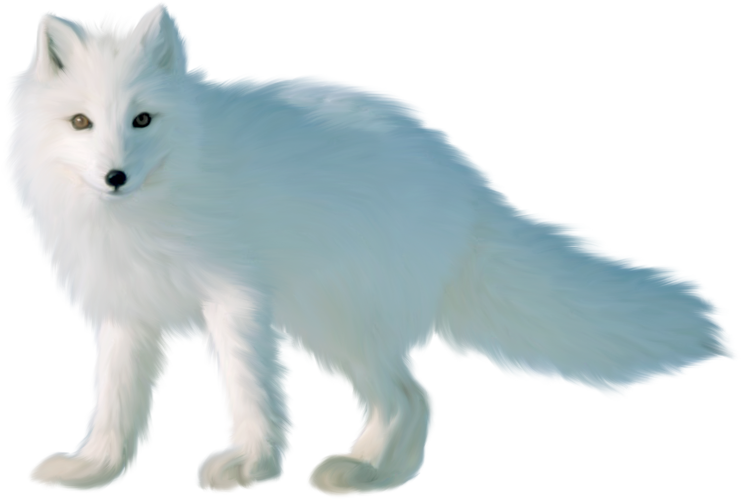 Arctic Foxin Winter Coat