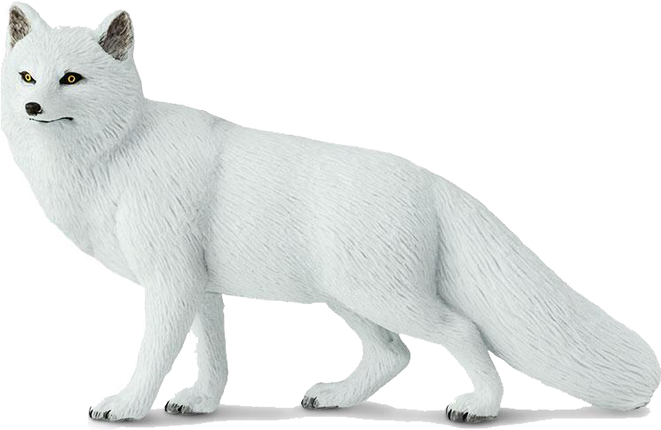 Arctic Fox Png Image File - Domestic Short-haired Cat, Transparent Png PNG with transparent background