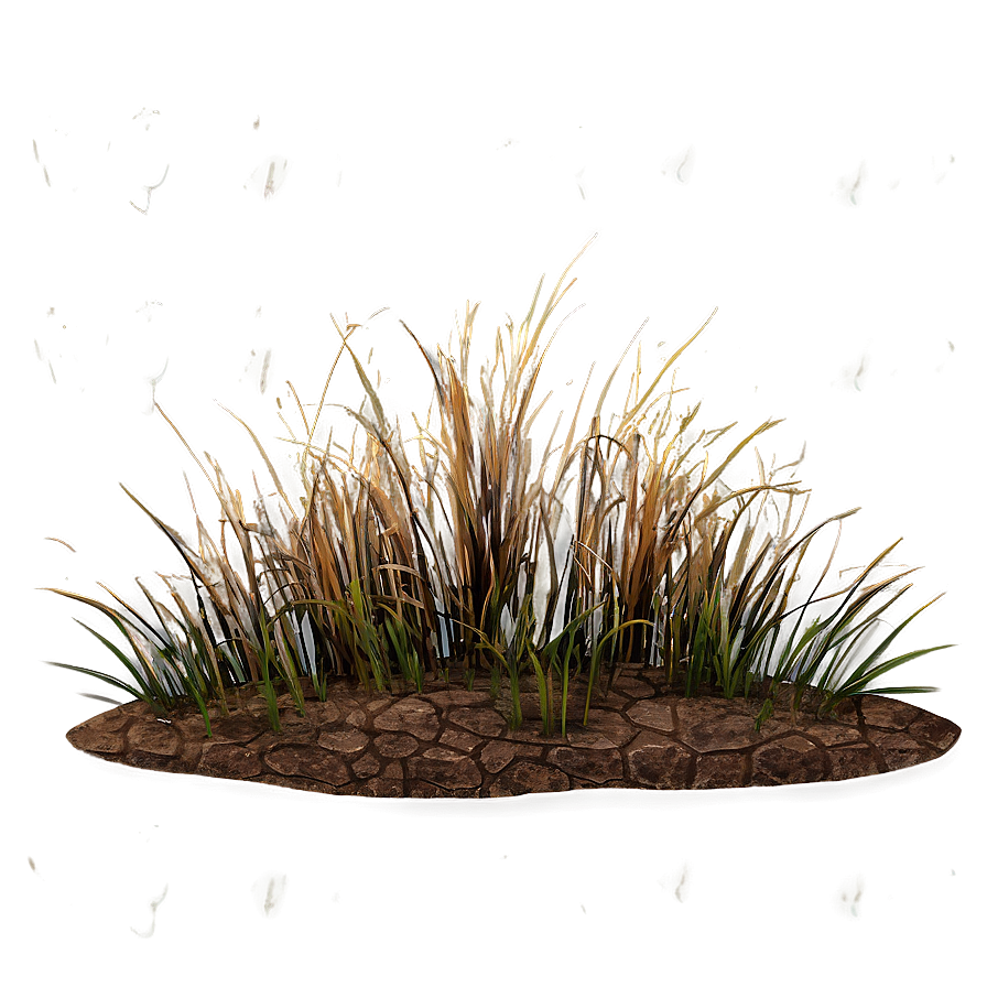 Arid Land Grass Png Svp75