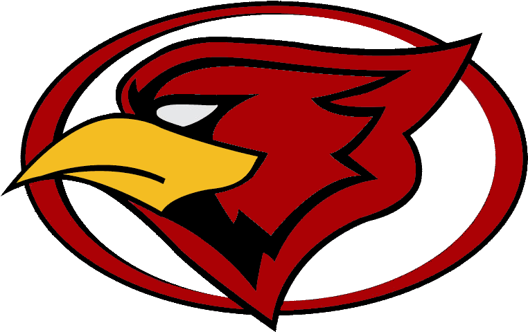 Arizona Cardinals Team Logo