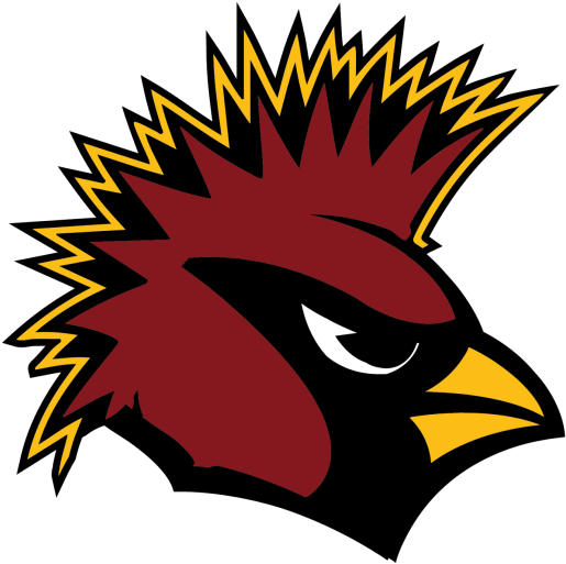 Arizona Cardinals Team Logo