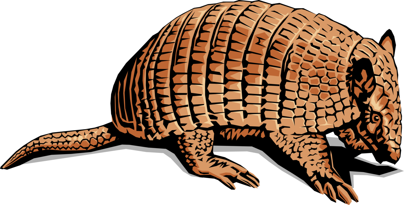 Armadillo Illustration.png