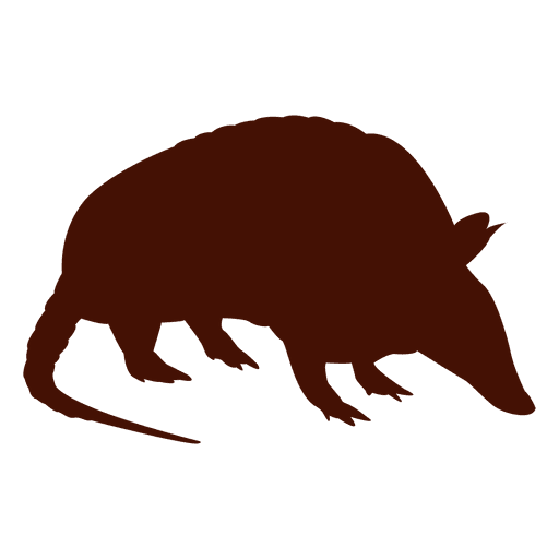 Armadillo Silhouette