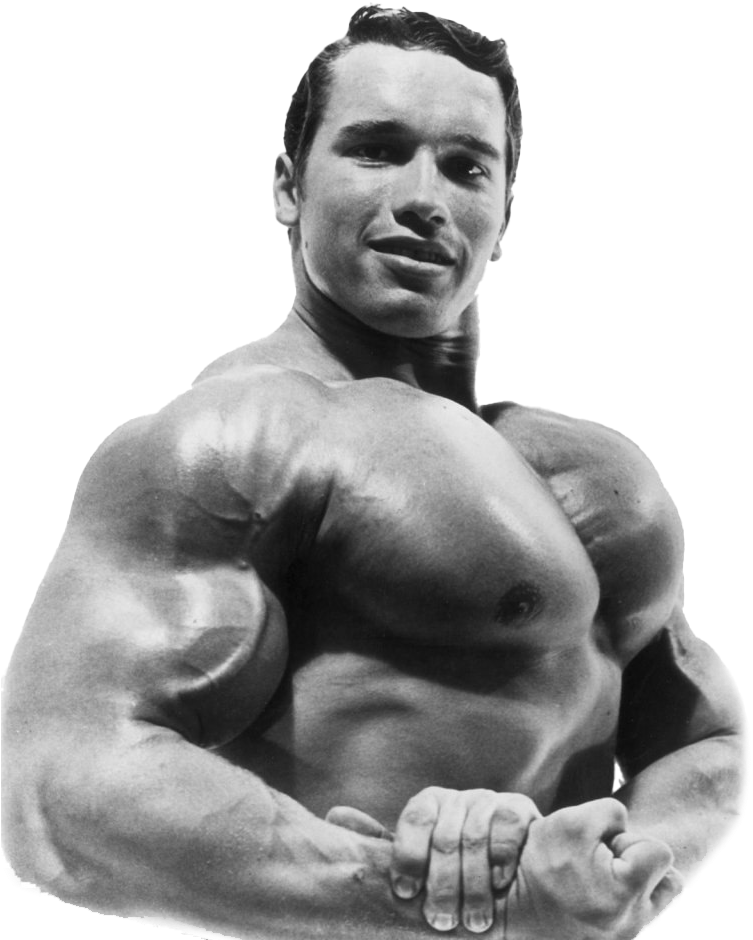 Arnold Schwarzenegger Bodybuilding Png Picture - Schwarzenegger Son, Transparent Png PNG with transparent background