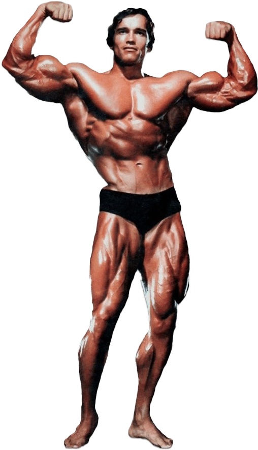 Arnold Schwarzenegger - Historyofbodybuilding - Com - Arnold Schwarzenegger Bodybuilding Png, Transparent Png PNG with transparent background