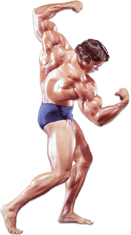 Arnold Schwarzenegger - Historyofbodybuilding - Com - Transparent Body Builder Png, Png Download PNG with transparent background
