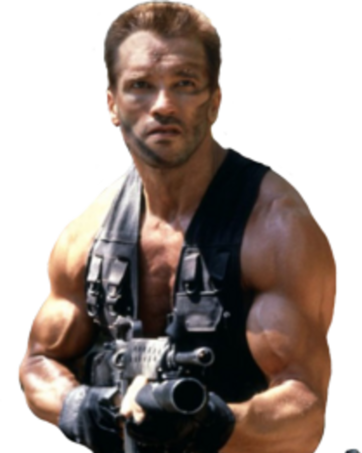 Arnold Schwarzenegger Terminator Png, Transparent Png PNG with transparent background
