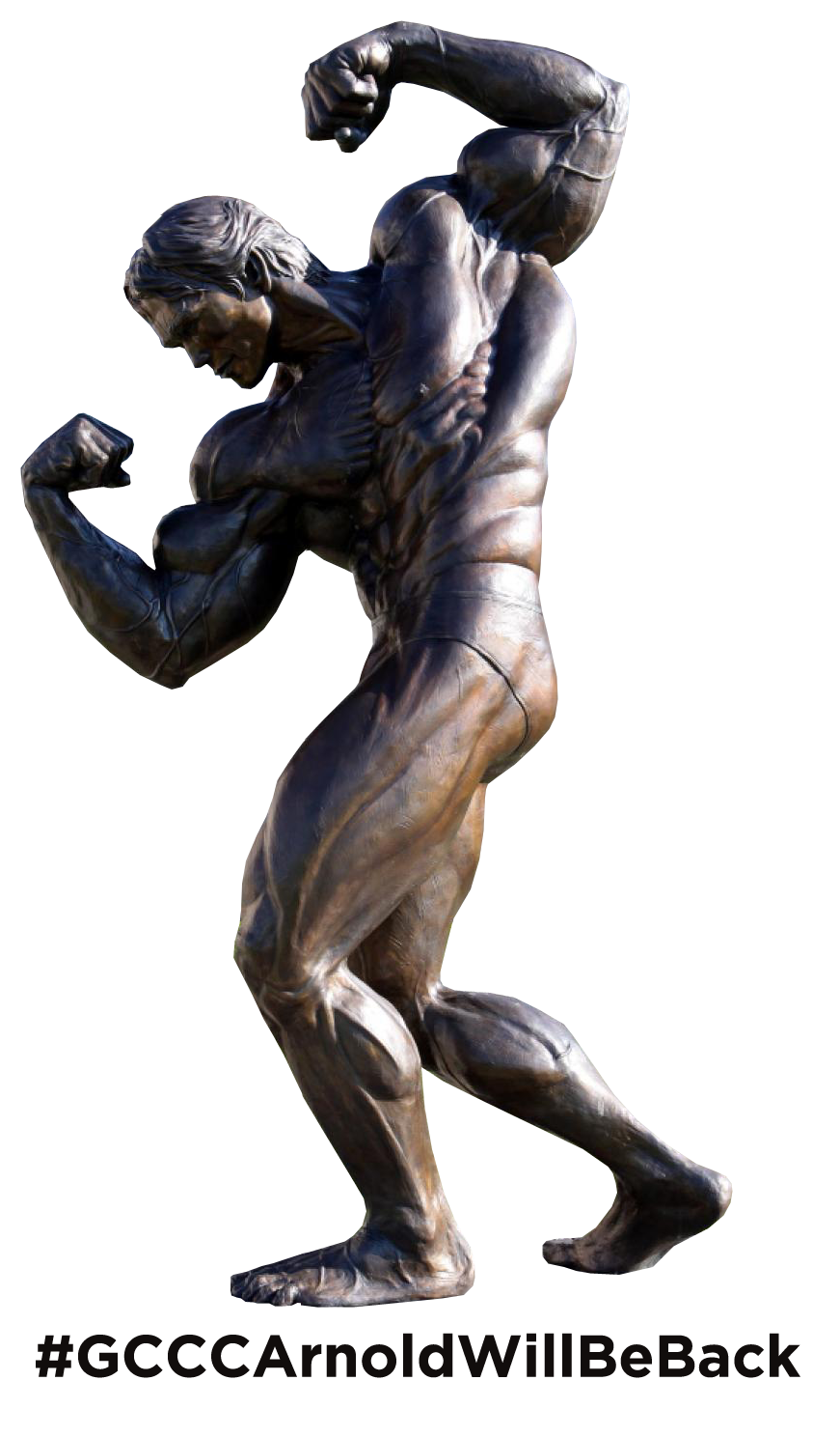 Arnold Statue Png, Transparent Png PNG with transparent background