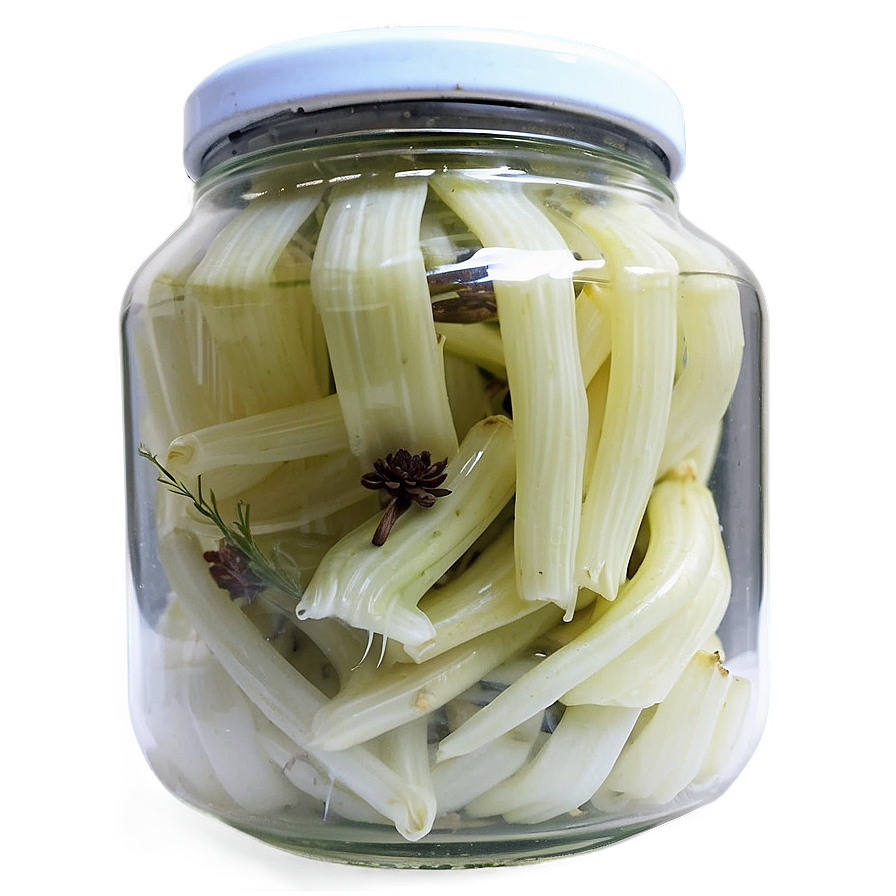 Aromatic Pickled Fennel Png 85