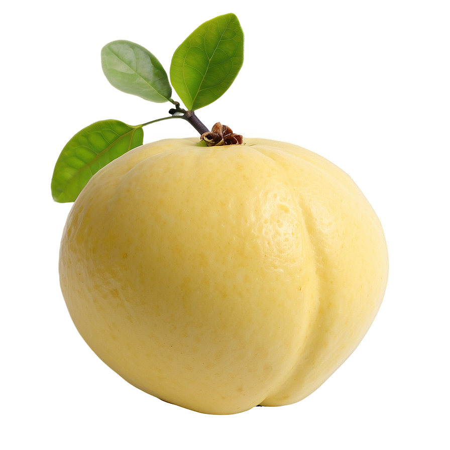 Aromatic Quince Png Slo