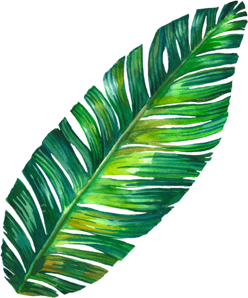 Art Edit Sticker - Banana Leaf Png, Transparent Png PNG with transparent background