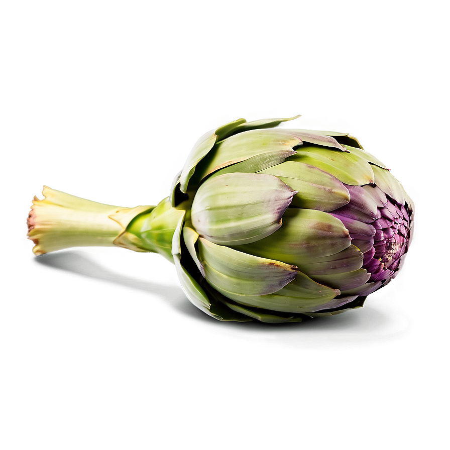 Artichoke Side View Png Ppi