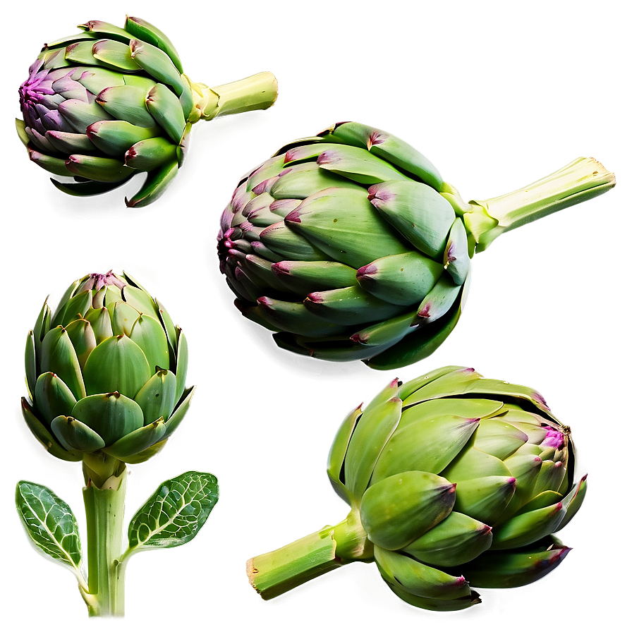 Artichoke Texture Png 06252024