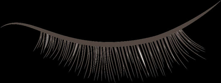 Artificial Eyelash Black Background