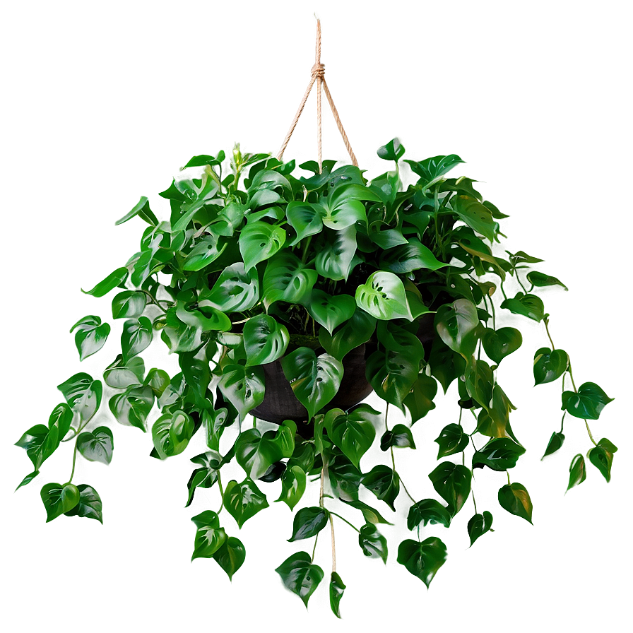 Artificial Hanging Plant Png Qba