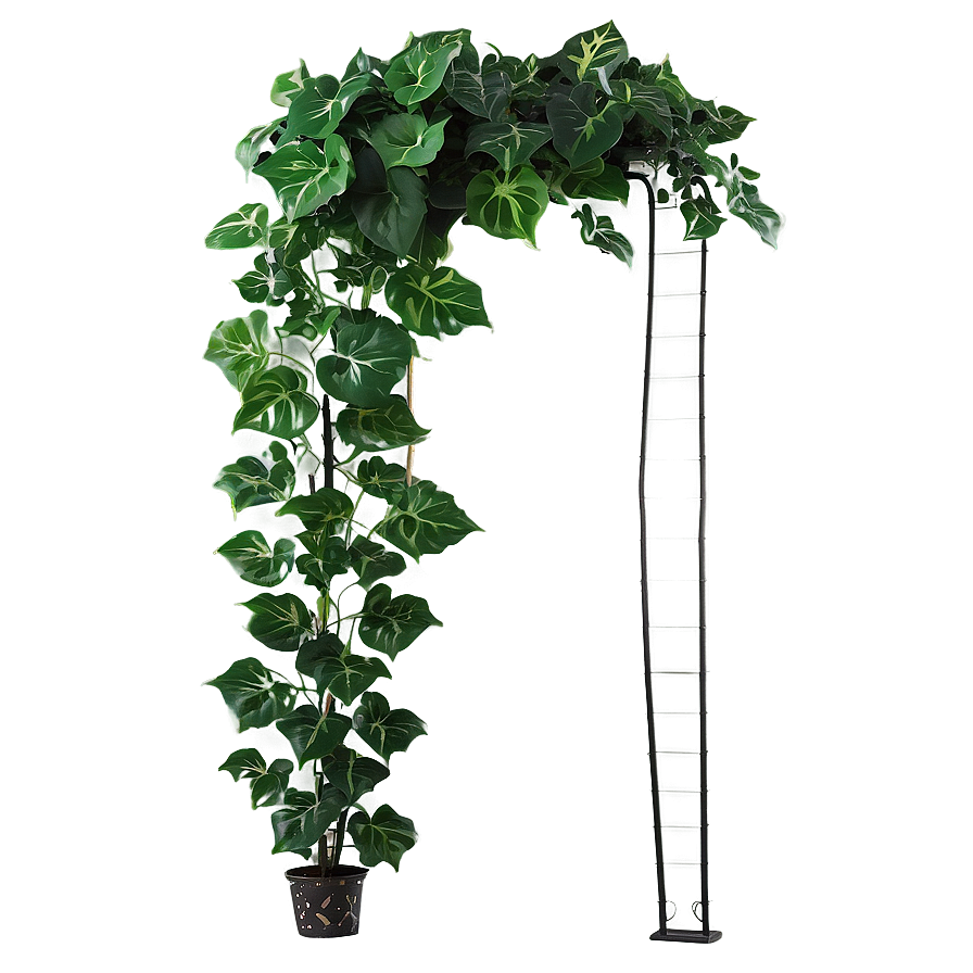 Artificial Ivy Plant Png Vet80