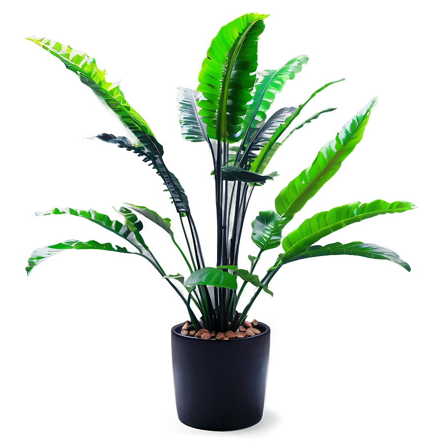 Artificial Plant For Bathroom Png 12