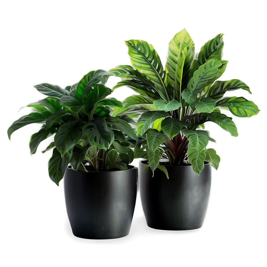 Artificial Potted Plants Png 87