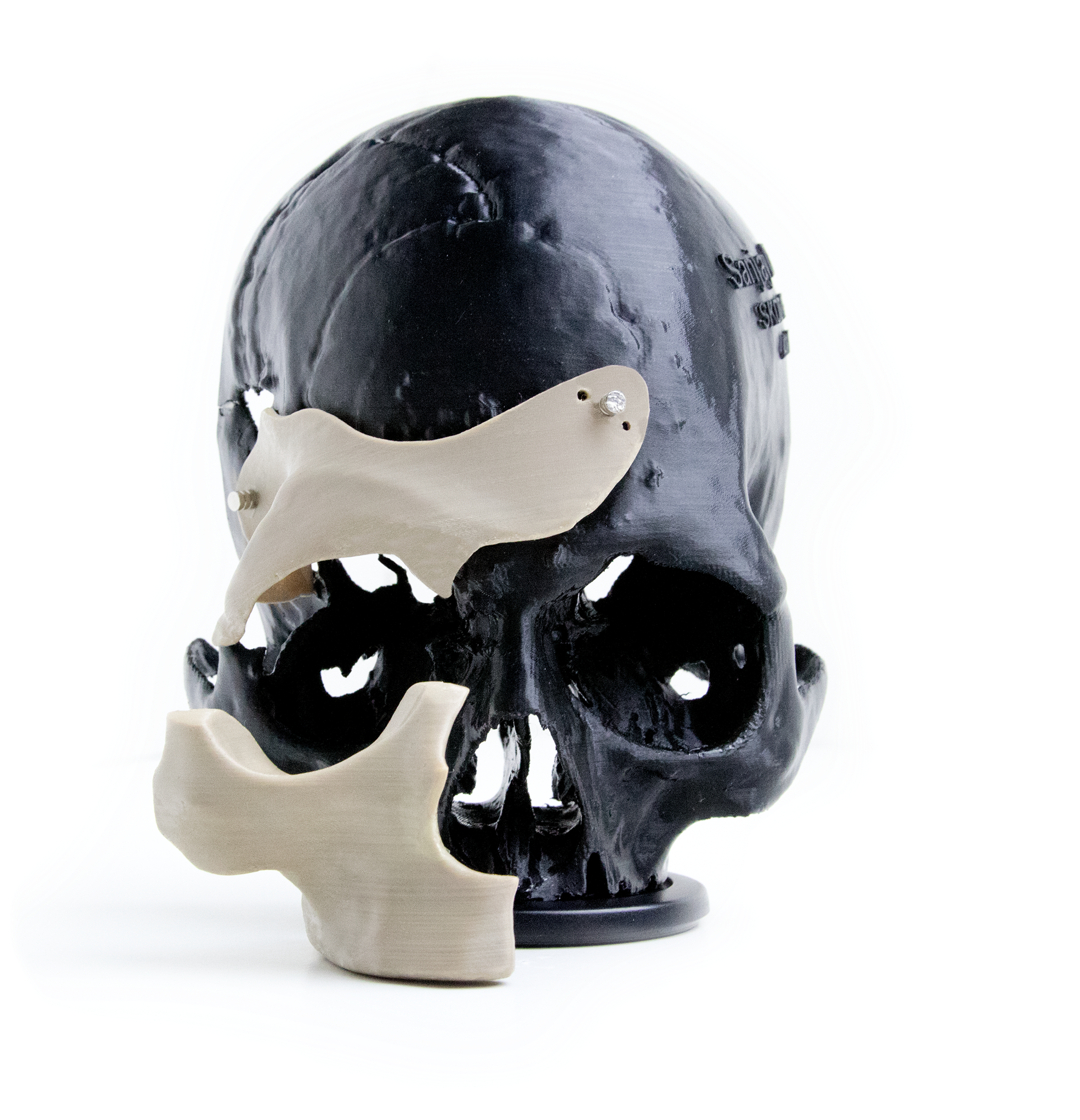 Artistic Black Skullwith White Splash