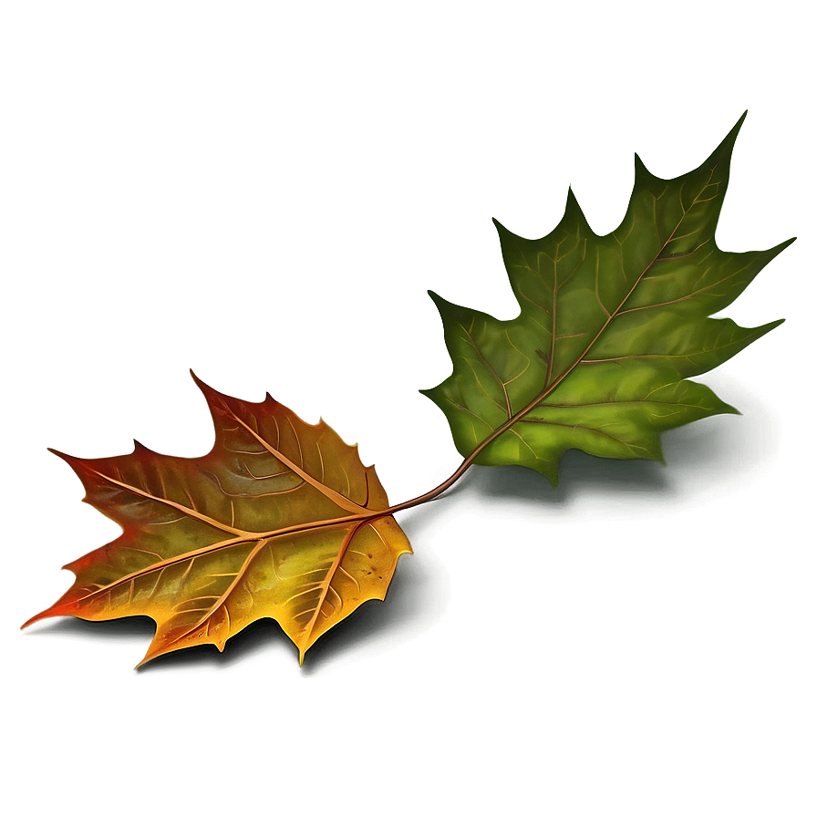 Artistic Fallen Leaves Composition Png Qrs33