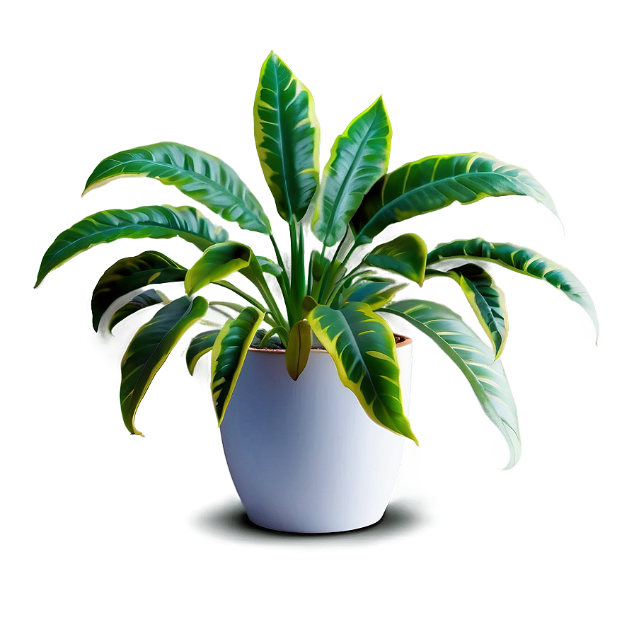 Artistic Floor Plant Png 22