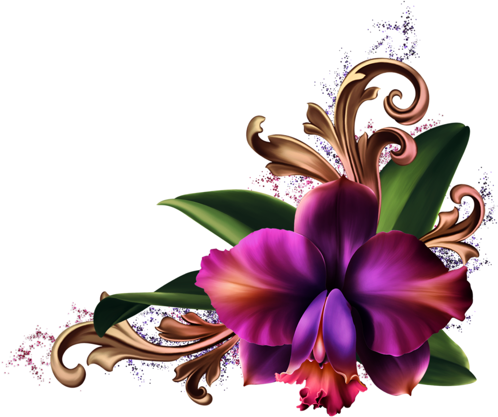 Romantic Orchids Borders And Frames, Flower Art, Dividers, - Orchid And Lily Floral Border Png, Transparent Png PNG with transparent background