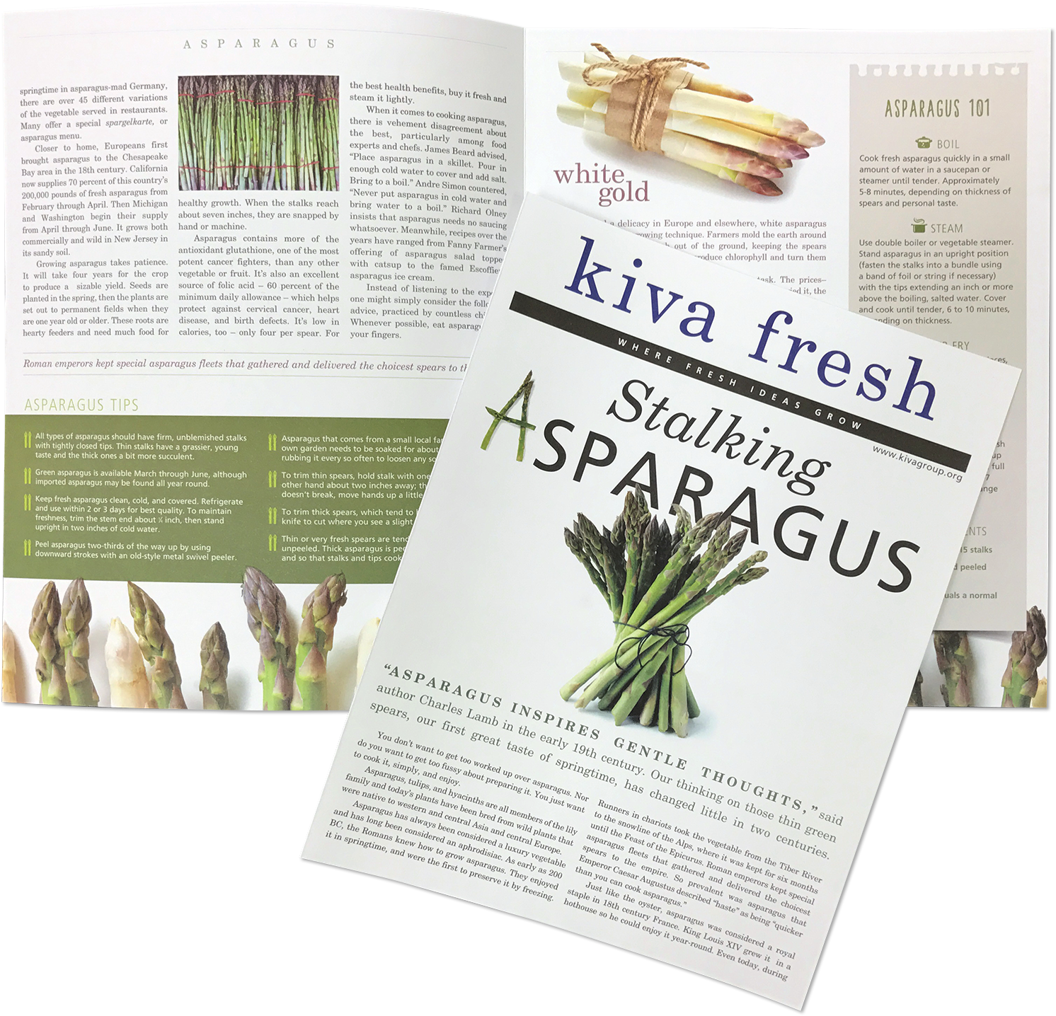 Asparagus Magazine Articles Spread