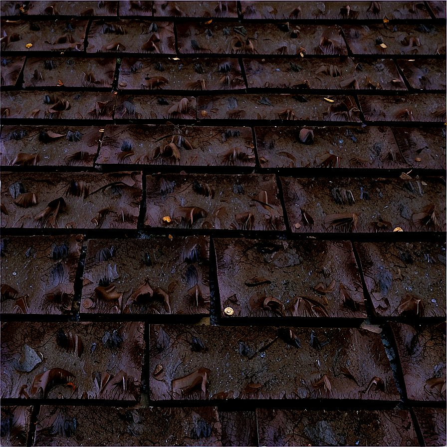 Asphalt Roofing Advantages PNG 06212024 PNG image with a transparent background, free high-resolution download