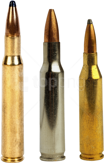 Assorted Ammunition Types