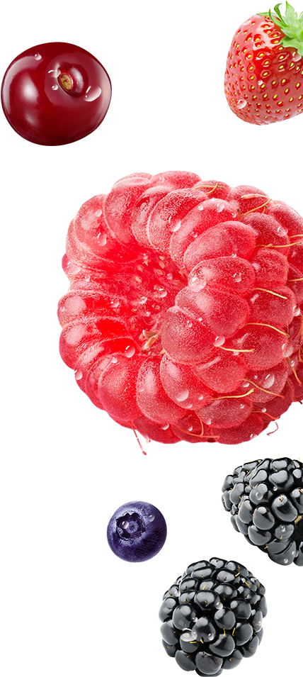 Fruit Snack Clipart - Raspberry, HD Png Download PNG image with a transparent background, free high-resolution download
